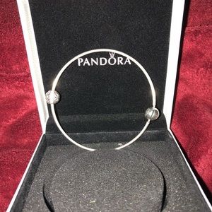 Pandora Bracelet